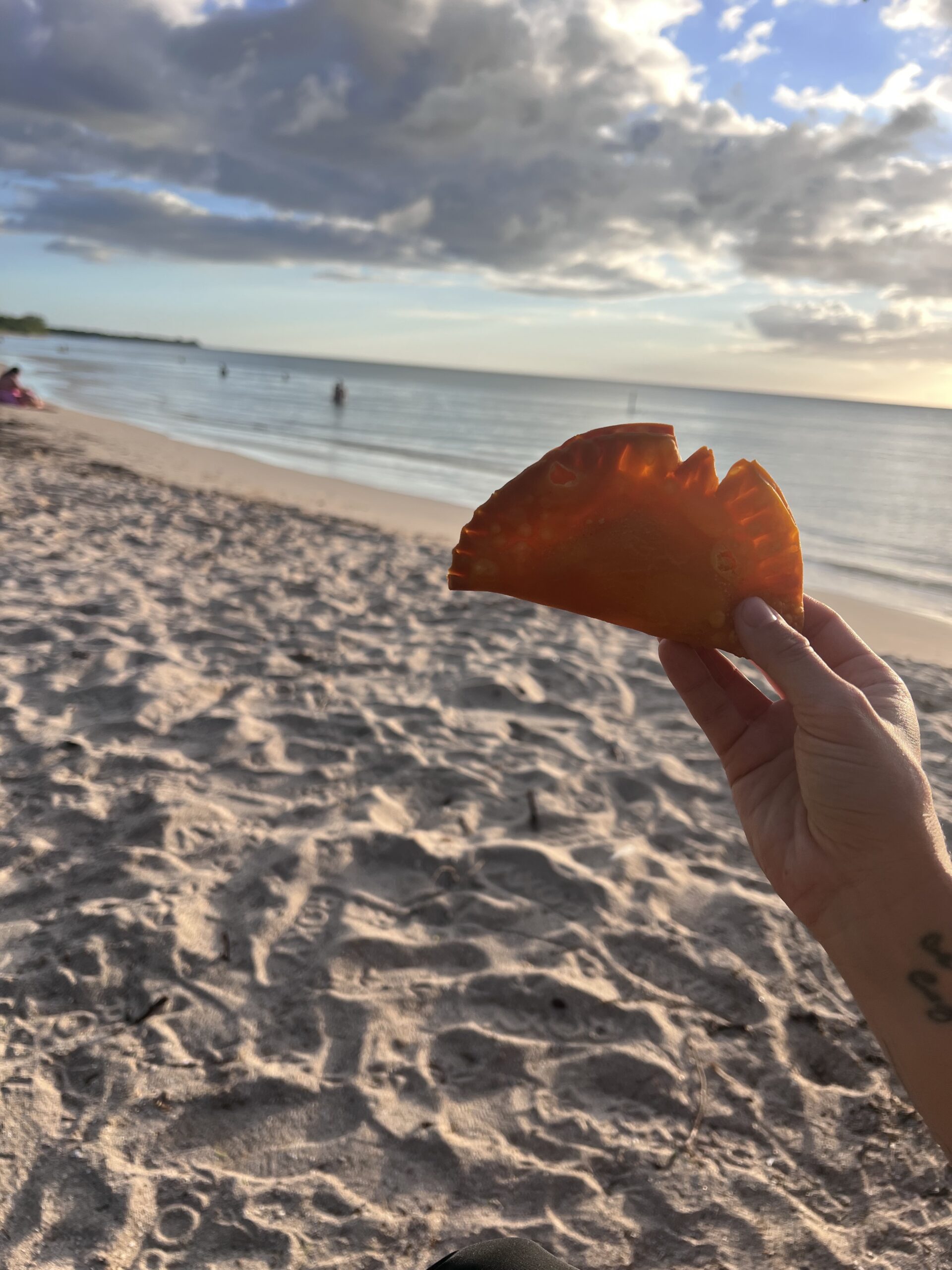 Queso Empanada from Marias